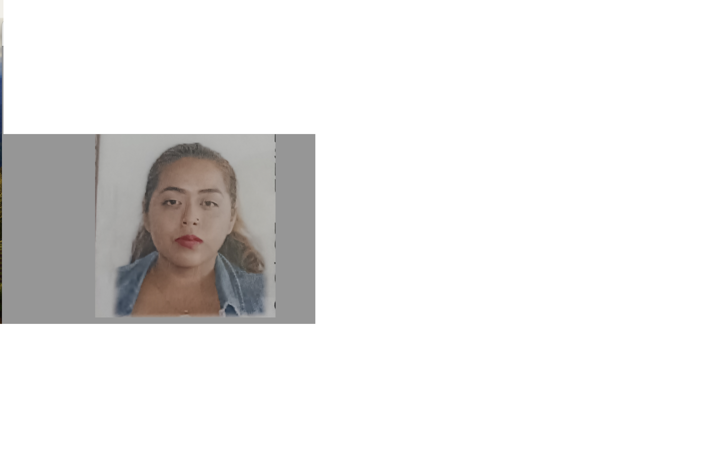 Atend prestador DULCE NALLELI SANCHEZ MORALES