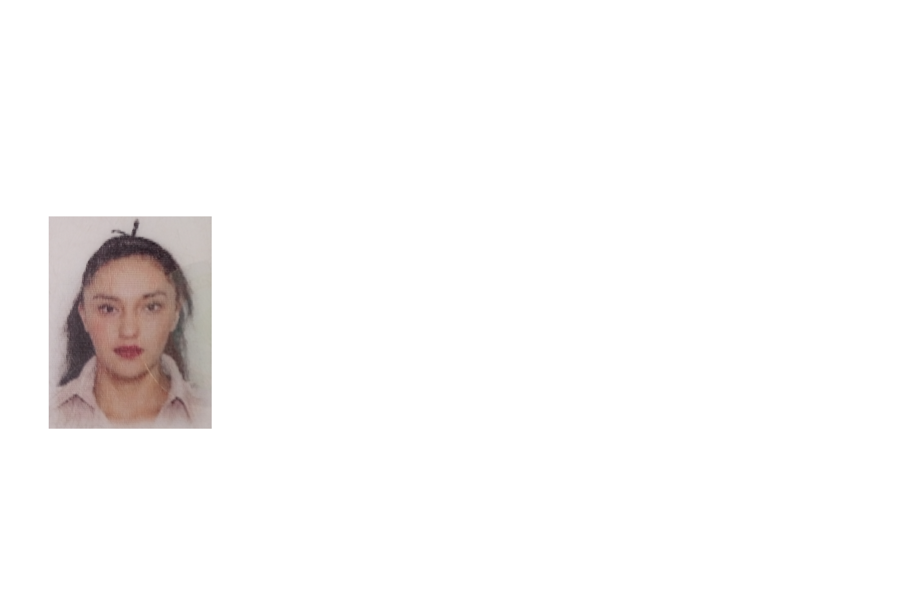 Atend prestador Vanessa Escalona Flores